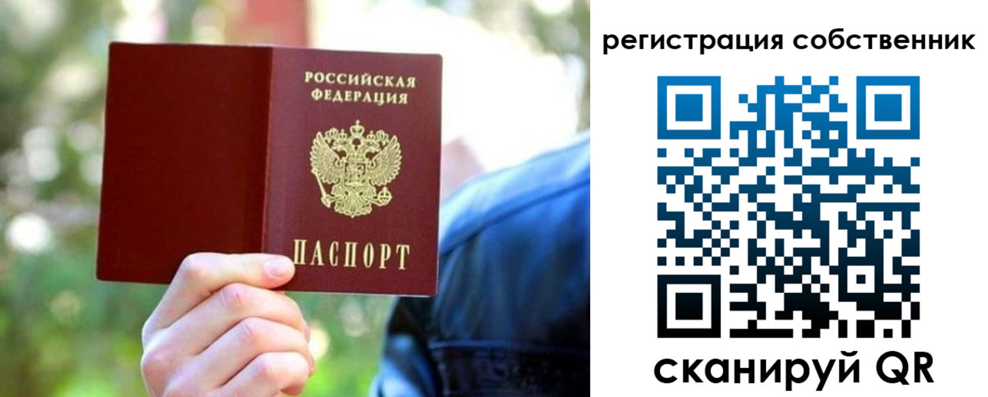 найти адрес прописки в Ржеве